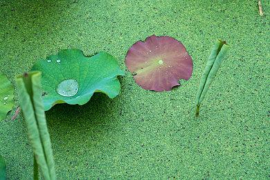 网飞《鱿鱼游戏》剧改多人游戏将于2024年内发布